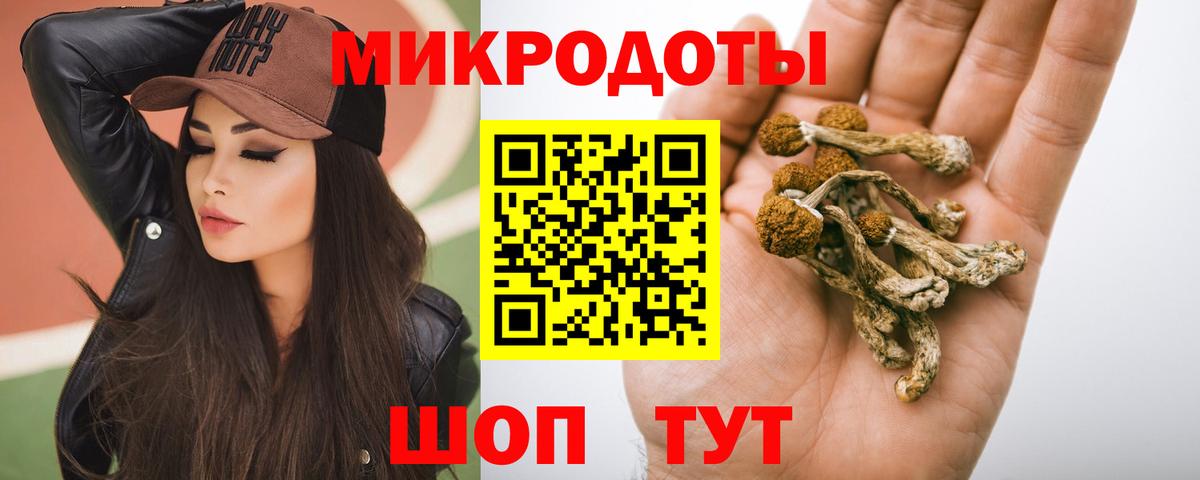 Псилоцибиновые грибы Psilocybe Анапа